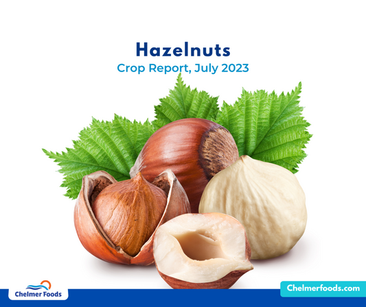 HAZELNUT, CROP REPORT, JULY 2023